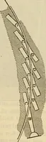 An illustration from Twentieth century handbook for steam engineers and electricians, with questions and answers; a practical nontechnical treatise on the care and management of steam engines, boilers and electric machinery (1922)