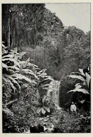 An illustration from Twenty years of pioneer missions in Nyasaland : a history of Moravian missions in German East Africa (1912)