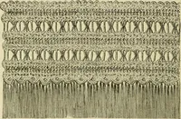 An illustration from Twine crochet work (1883)
