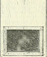 An illustration from 'Twixt two worlds : a narrative of the life and work of William Eglinton (1886)