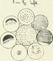 Picture 6 of 22 from 'Twixt two worlds : a narrative of the life and work of William Eglinton (1886), leaf 95