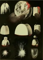 Picture 2 of 23 from 'Twixt two worlds : a narrative of the life and work of William Eglinton (1886), leaf 35