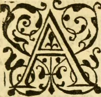 An illustration from Two books of constancie (1594)