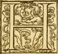 An illustration from Two books of constancie (1594)
