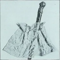 Picture 62 of 140 from Two centuries of costume in America, MDCXX-MDCCCXX (1903), leaf 274