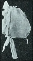 An illustration from Two centuries of costume in America, MDCXX-MDCCCXX (1903)