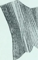 Picture 54 of 209 from Two centuries of costume in America, MDCXX-MDCCCXX (1903), leaf 176