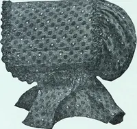 An illustration from Two centuries of costume in America, MDCXX-MDCCCXX (1903)