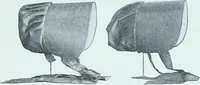 An illustration from Two centuries of costume in America, MDCXX-MDCCCXX (1903)