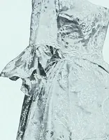 Picture 122 of 209 from Two centuries of costume in America, MDCXX-MDCCCXX (1903), leaf 345