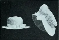 Picture 123 of 209 from Two centuries of costume in America, MDCXX-MDCCCXX (1903), leaf 346