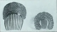 An illustration from Two centuries of costume in America, MDCXX-MDCCCXX (1903)