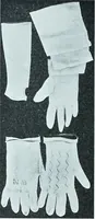 An illustration from Two centuries of costume in America, MDCXX-MDCCCXX (1903)
