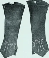 Picture 202 of 209 from Two centuries of costume in America, MDCXX-MDCCCXX (1903), leaf 554