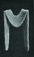 An illustration from Two centuries of costume in America, MDCXX-MDCCCXX (1903)