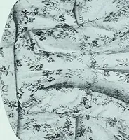 An illustration from Two centuries of costume in America, MDCXX-MDCCCXX (1903)