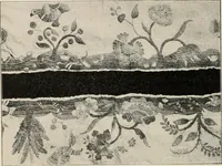 An illustration from Two centuries of costume in America, MDCXX-MDCCCXX (1903)