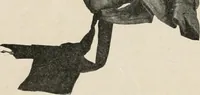 An illustration from Two centuries of costume in America, MDCXX-MDCCCXX (1903)