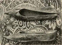 An illustration from Two centuries of costume in America, MDCXX-MDCCCXX (1903)