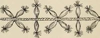 An illustration from Two centuries of costume in America, MDCXX-MDCCCXX (1903)