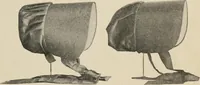 Picture 111 of 213 from Two centuries of costume in America, MDCXX-MDCCCXX (1903), leaf 318