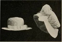 Picture 120 of 213 from Two centuries of costume in America, MDCXX-MDCCCXX (1903), leaf 348