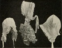 Picture 125 of 213 from Two centuries of costume in America, MDCXX-MDCCCXX (1903), leaf 357