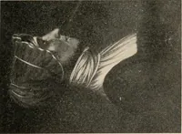 An illustration from Two centuries of costume in America, MDCXX-MDCCCXX (1903)