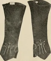 Picture 206 of 213 from Two centuries of costume in America, MDCXX-MDCCCXX (1903), leaf 556