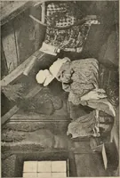An illustration from Two centuries of costume in America, MDCXX-MDCCCXX (1903)