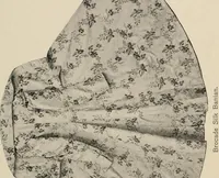 Picture 16 of 213 from Two centuries of costume in America, MDCXX-MDCCCXX (1903), leaf 88