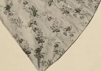 An illustration from Two centuries of costume in America, MDCXX-MDCCCXX (1903)