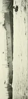 Picture 69 of 94 from Two centuries of shipbuilding by the Scotts at Greenock (1906), leaf 184