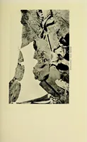 An illustration from Two Dianas in Somaliland : the record of a shooting trip (1908)