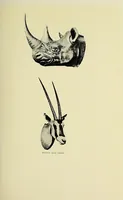 An illustration from Two Dianas in Somaliland : the record of a shooting trip (1908)