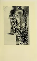 An illustration from Two Dianas in Somaliland : the record of a shooting trip (1908)