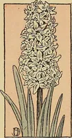 An illustration from Two little southern sisters and their garden plays (1919)