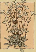 An illustration from Two little southern sisters and their garden plays (1919)
