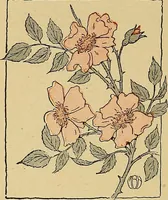 An illustration from Two little southern sisters and their garden plays (1919)