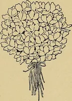 An illustration from Two little southern sisters and their garden plays (1919)