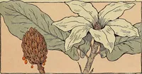 An illustration from Two little southern sisters and their garden plays (1919)