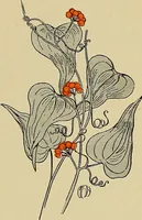 An illustration from Two little southern sisters and their garden plays (1919)