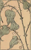 An illustration from Two little southern sisters and their garden plays (1919)
