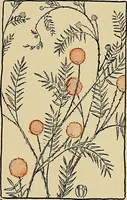 An illustration from Two little southern sisters and their garden plays (1919)
