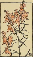 An illustration from Two little southern sisters and their garden plays (1919)