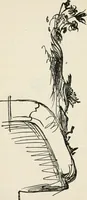 An illustration from The two paths; being lectures on art, and its application to decoration and manufacture, delivered in 1858-9 (1891)