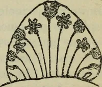 An illustration from The two paths ; Love's meinie ; also, Val d'arno ; The pleasures of England ; Mornings in Florence ; Time and tide ; The art of England ; Notes on the construction of sheepfolds (1800)