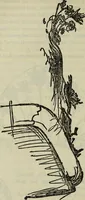 An illustration from The two paths ; Love's meinie ; also, Val d'arno ; The pleasures of England ; Mornings in Florence ; Time and tide ; The art of England ; Notes on the construction of sheepfolds (1800)