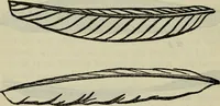 An illustration from The two paths ; Love's meinie ; also, Val d'arno ; The pleasures of England ; Mornings in Florence ; Time and tide ; The art of England ; Notes on the construction of sheepfolds (1800)
