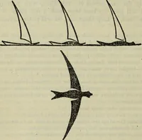 An illustration from The two paths ; Love's meinie ; also, Val d'arno ; The pleasures of England ; Mornings in Florence ; Time and tide ; The art of England ; Notes on the construction of sheepfolds (1800)